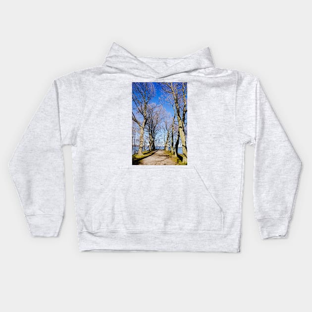 Bay view from Dundurn Castle Kids Hoodie by srosu